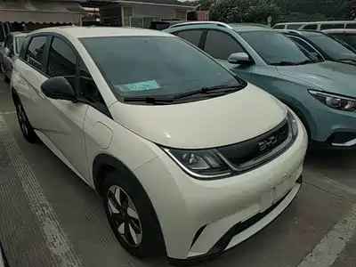 BYD Dolphin 2024