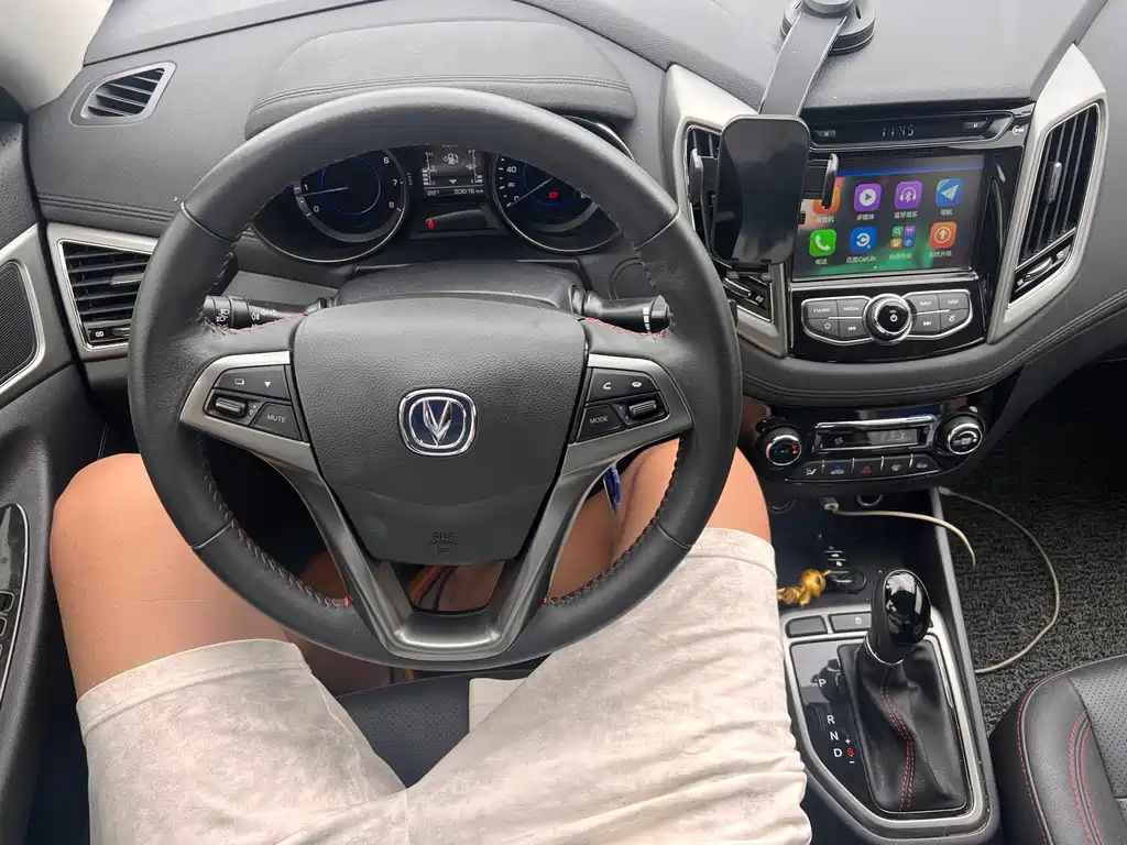 Changan Eado 2018 — фото 13