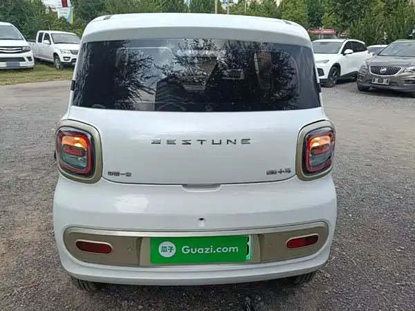 Bestune Pony 2024
