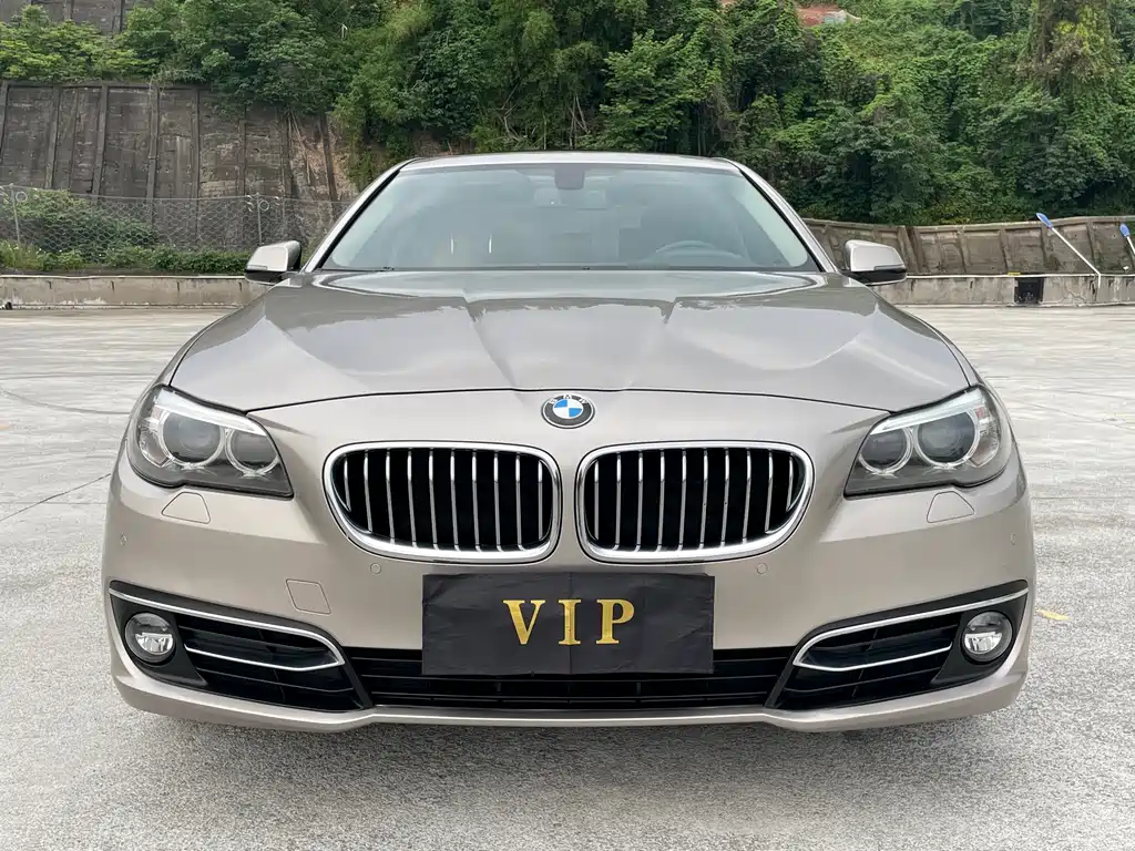 BMW 5 Series 2015 — фото 2