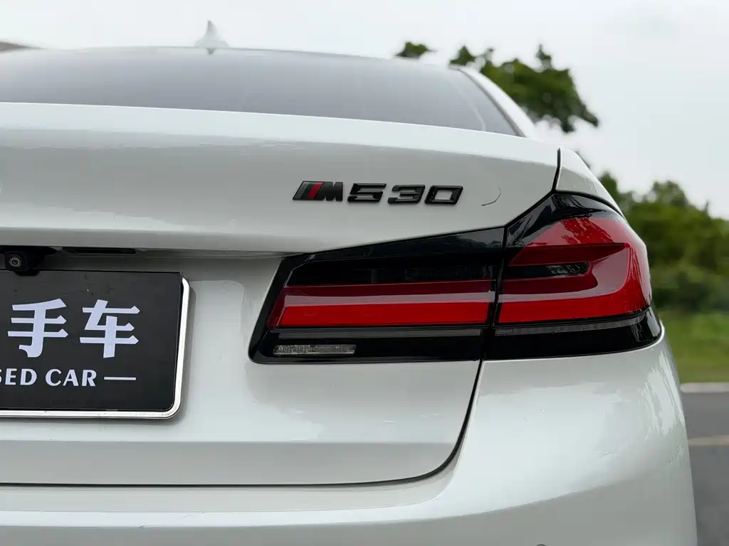BMW 5 Series 2018 — фото 9