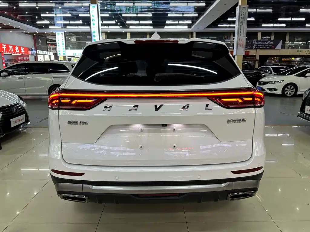 Haval H6 2021 — фото 8