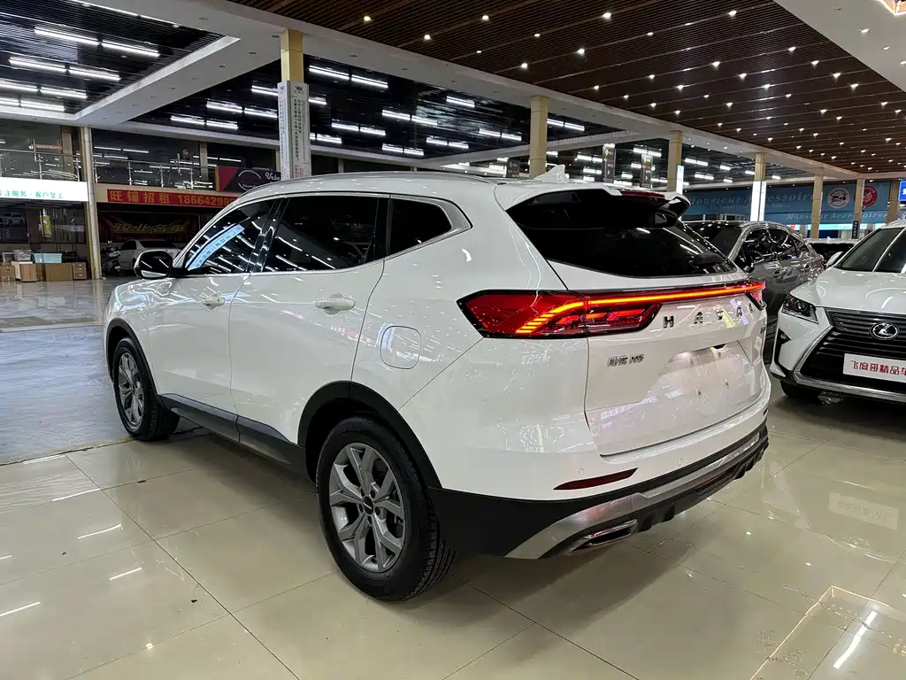 Haval H6 2021 — фото 9
