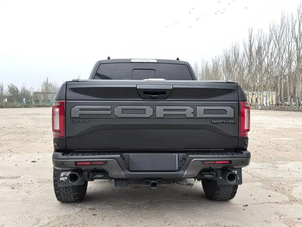Ford F-150 Raptor 2020 — фото 6