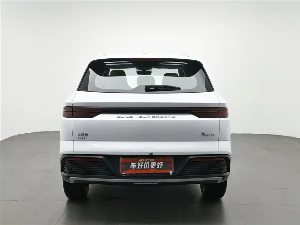 BYD Pro New Energy 2024