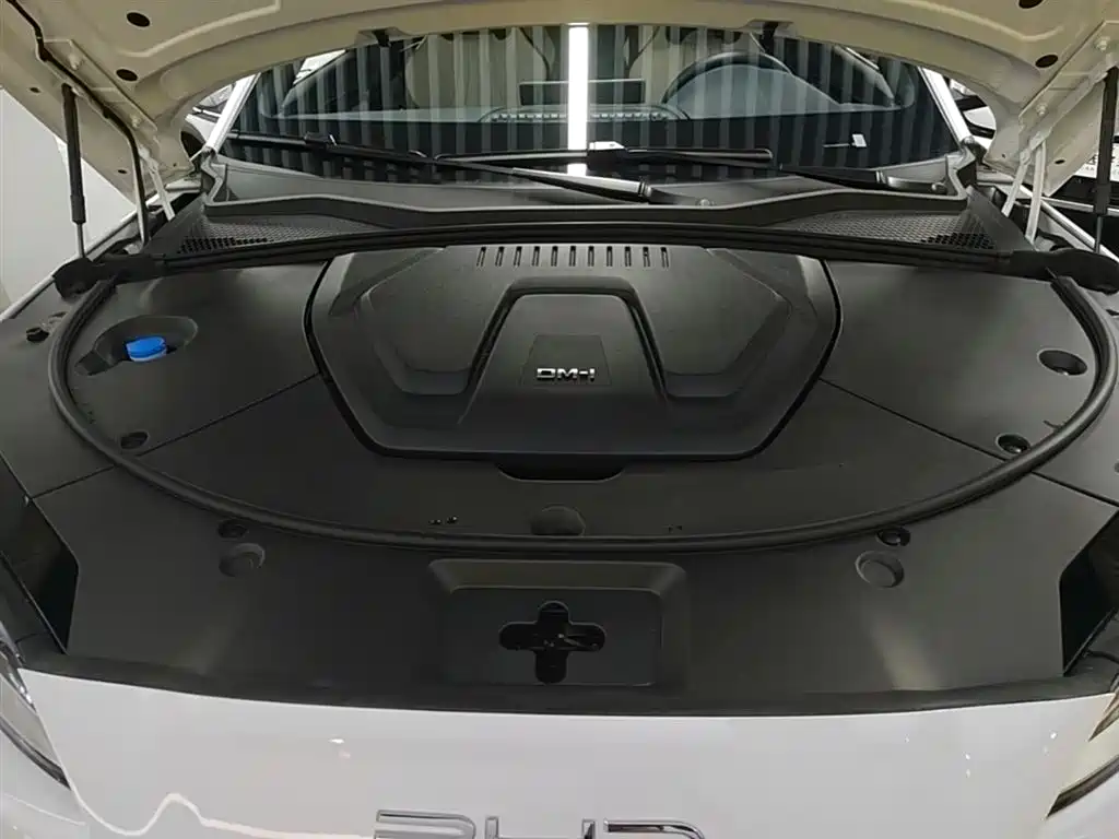 BYD PLUS New Energy 2025 — фото 19