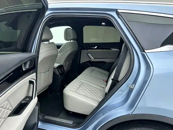 BYD Tang New Energy 2024