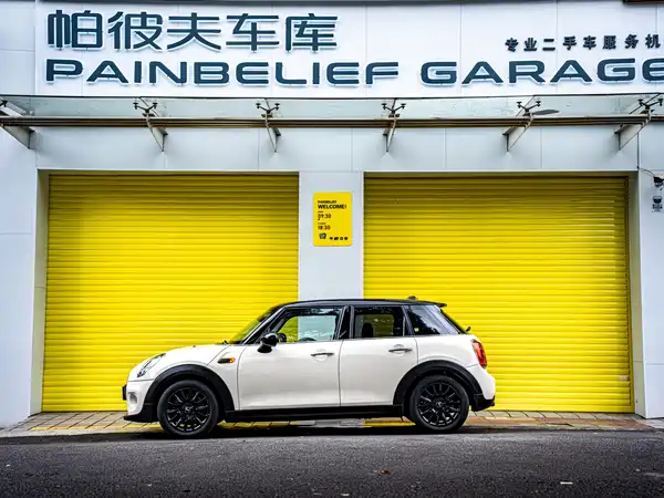 MINI MINI 2016