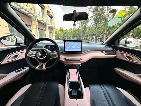 BYD Seagull 2024