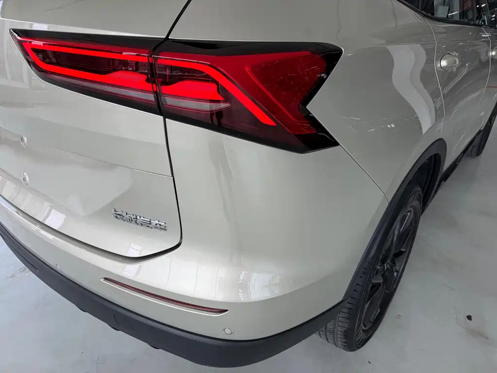 Haval H6 2024 — фото 10
