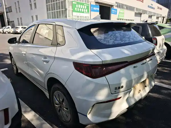 BYD e2 2021