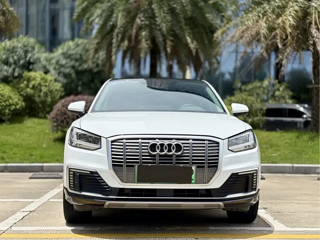 Audi Q2L E-Tron 2020