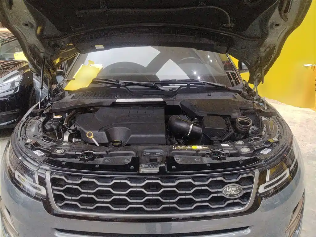 Land Rover Evoque 2020 — фото 16