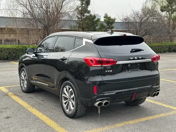 Wey VV6 2020