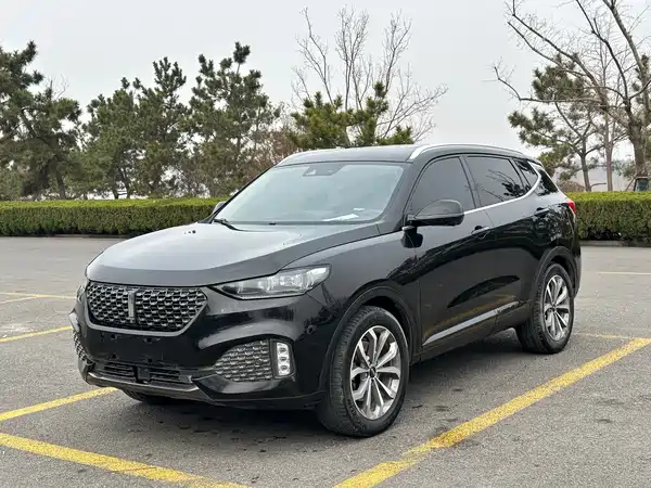 Wey VV6 2020