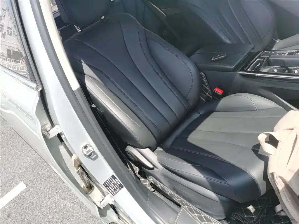 Roewe RX5 MAX 2020 — фото 24