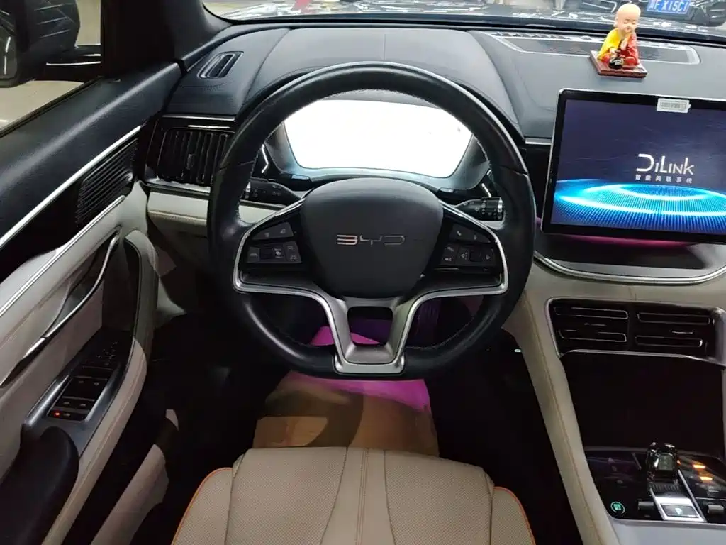 BYD Song PLUS New Energy 2024 — фото 11