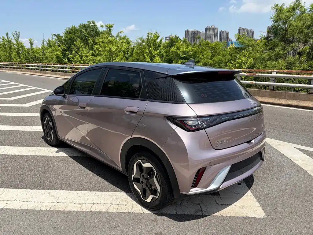 BYD Dolphin 2022