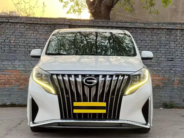 GAC Trumpchi M8 2021