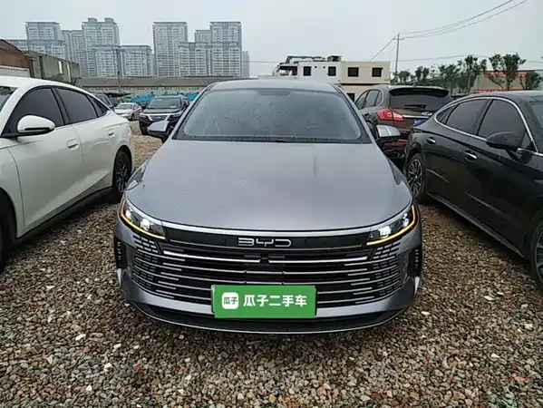 BYD Destroyer 05 2024