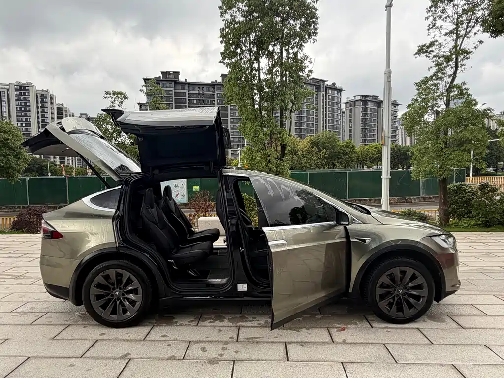 Tesla Model X 2018 — фото 17