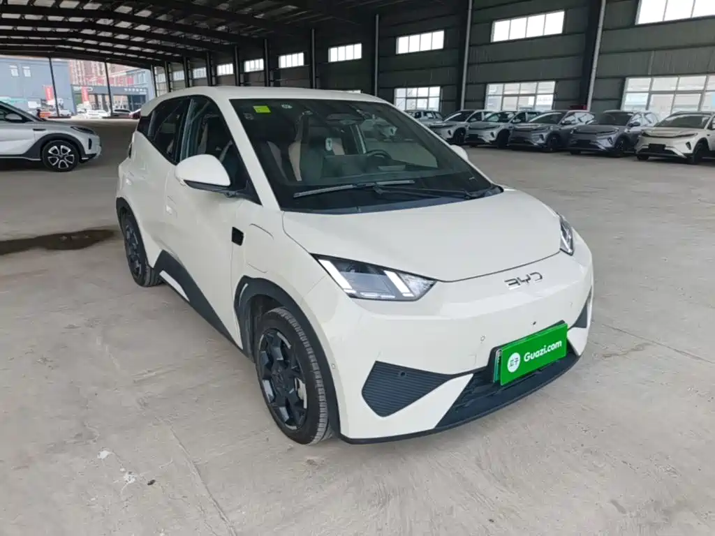 BYD Seagull 2025