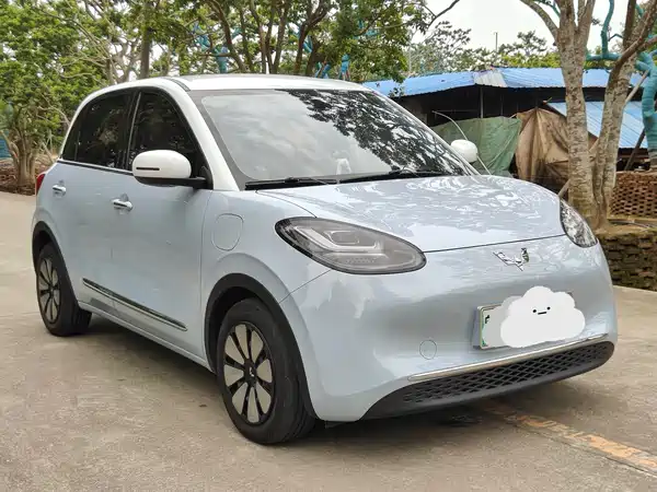 Wuling Bingo 2024