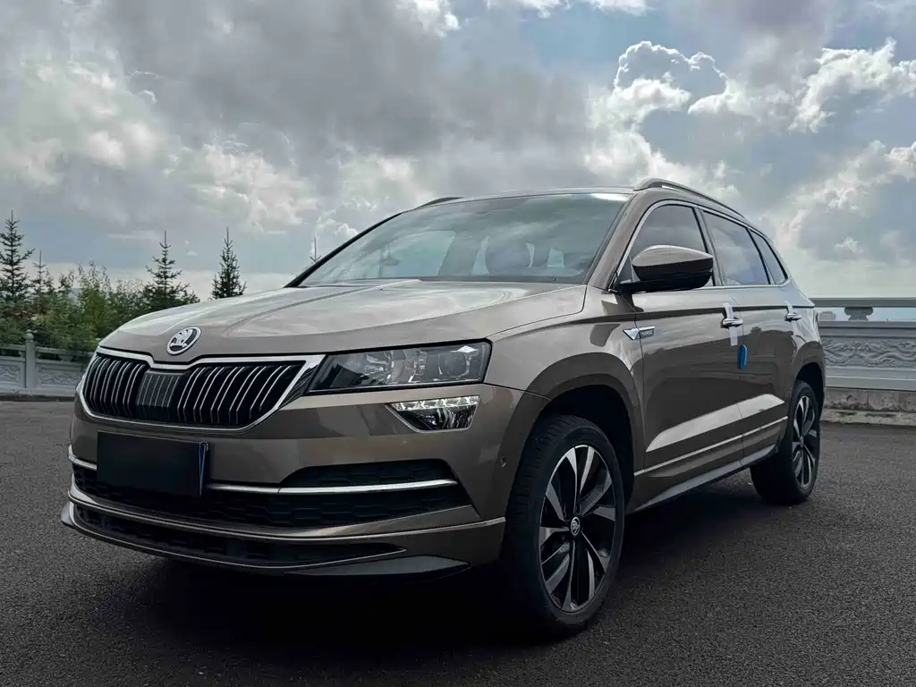 Skoda Karoq 2022 — фото 1