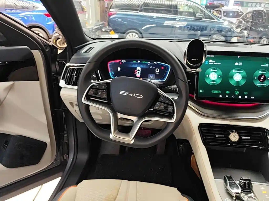 BYD Song PLUS New Energy 2024 — фото 11