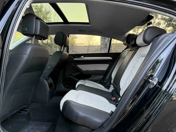 Volkswagen Magotan 2024