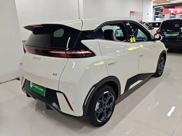BYD Seagull 2024