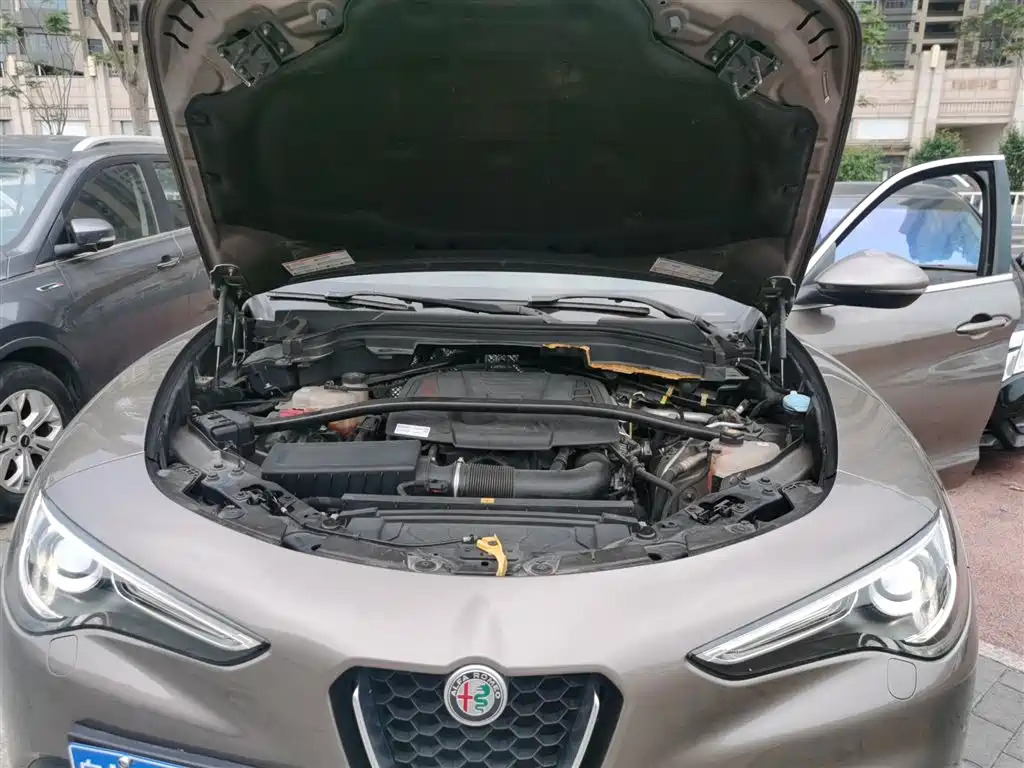 Alfa Romeo Stelvio 2019 — фото 13