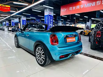 MINI MINI 2017