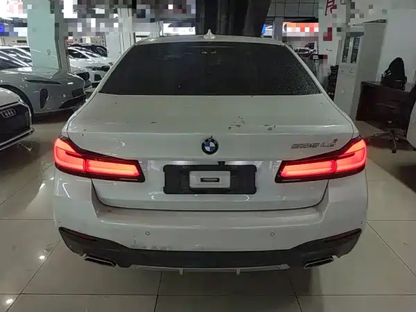 BMW 5 Series New Energy 2021