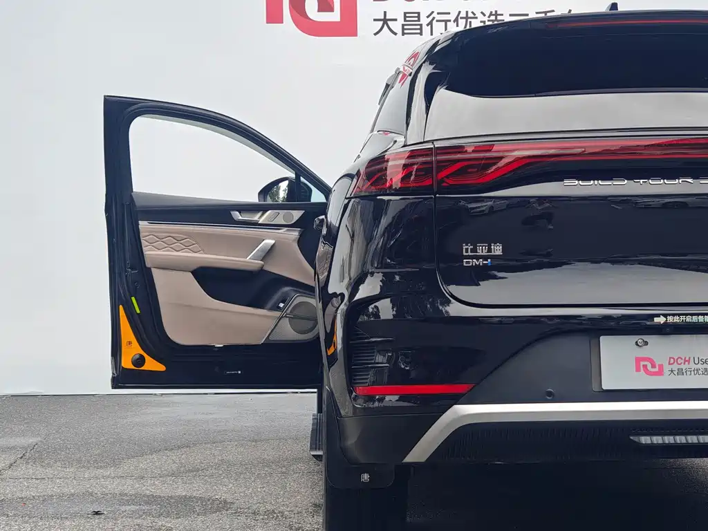 BYD Tang New Energy 2024 — фото 11