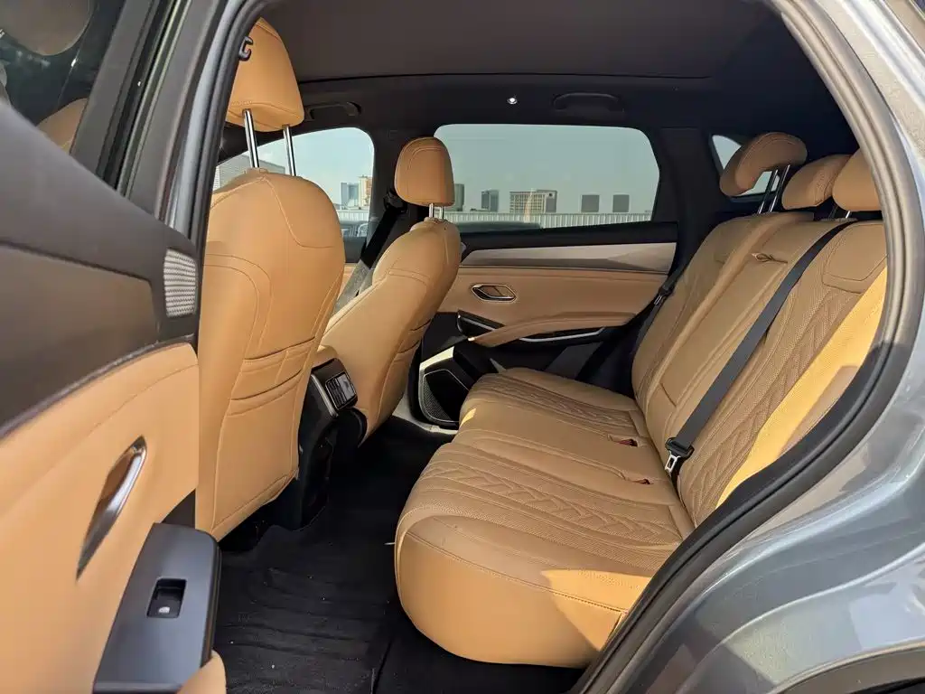 BYD Song L DM-i 2024 — фото 13