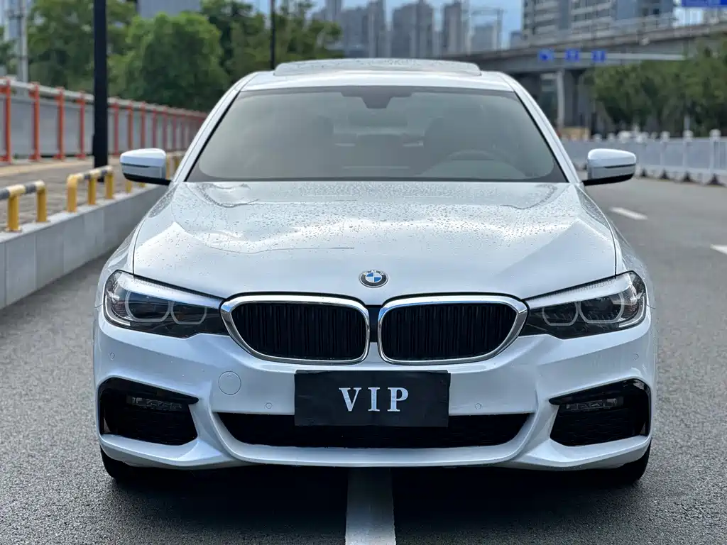 BMW 5 Series 2019