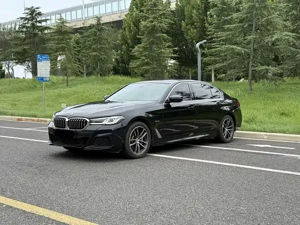 BMW 5 Series New Energy 2023