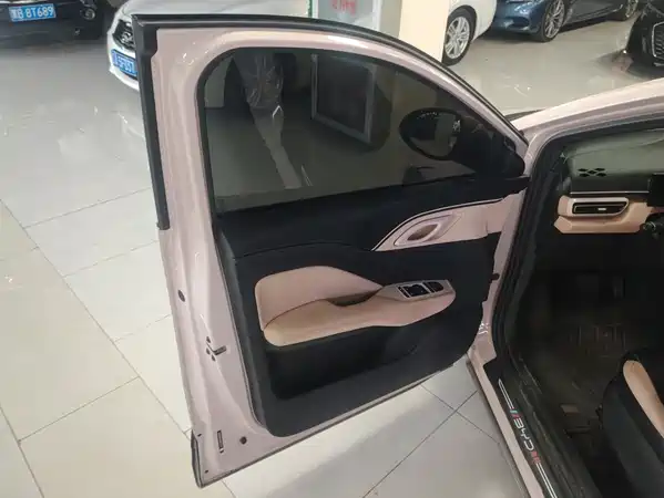 BYD Seagull 2024