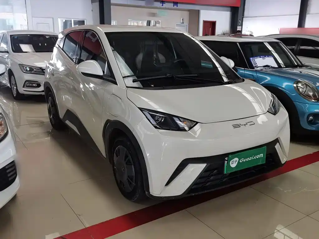 BYD Seagull 2024