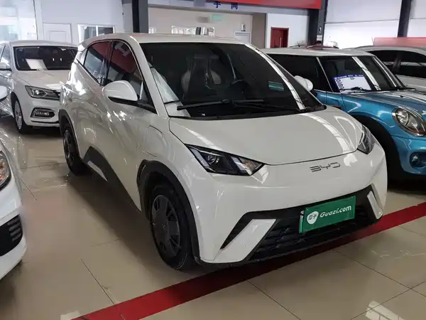BYD Seagull 2024