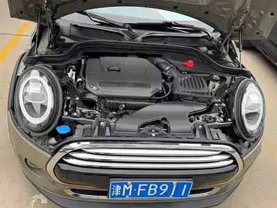MINI MINI 2019
