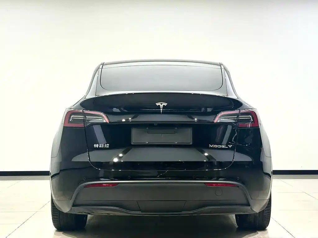 Tesla Model Y 2024 — фото 7