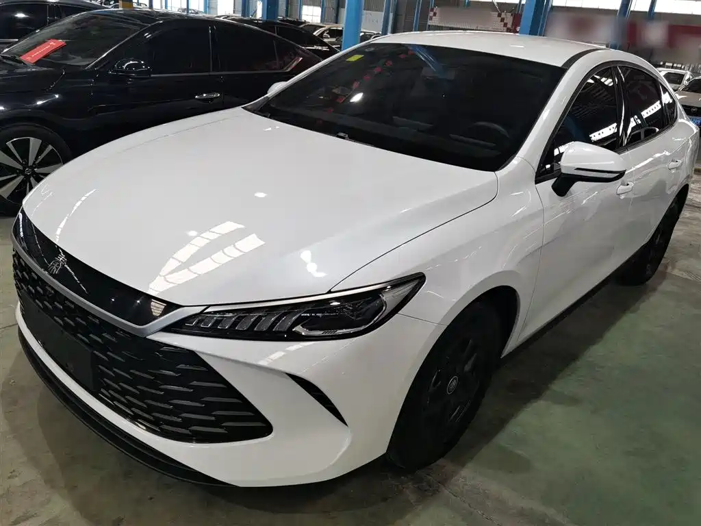 BYD Qin PLUS 2025 — фото 1