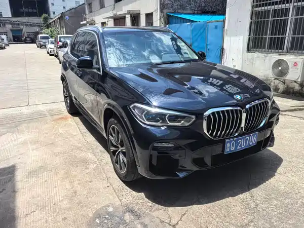 BMW X5 2019