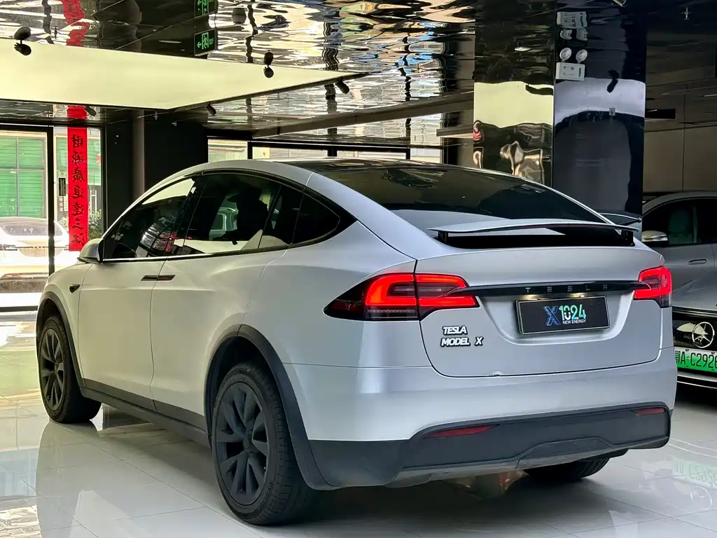 Tesla Model X 2023 — фото 6