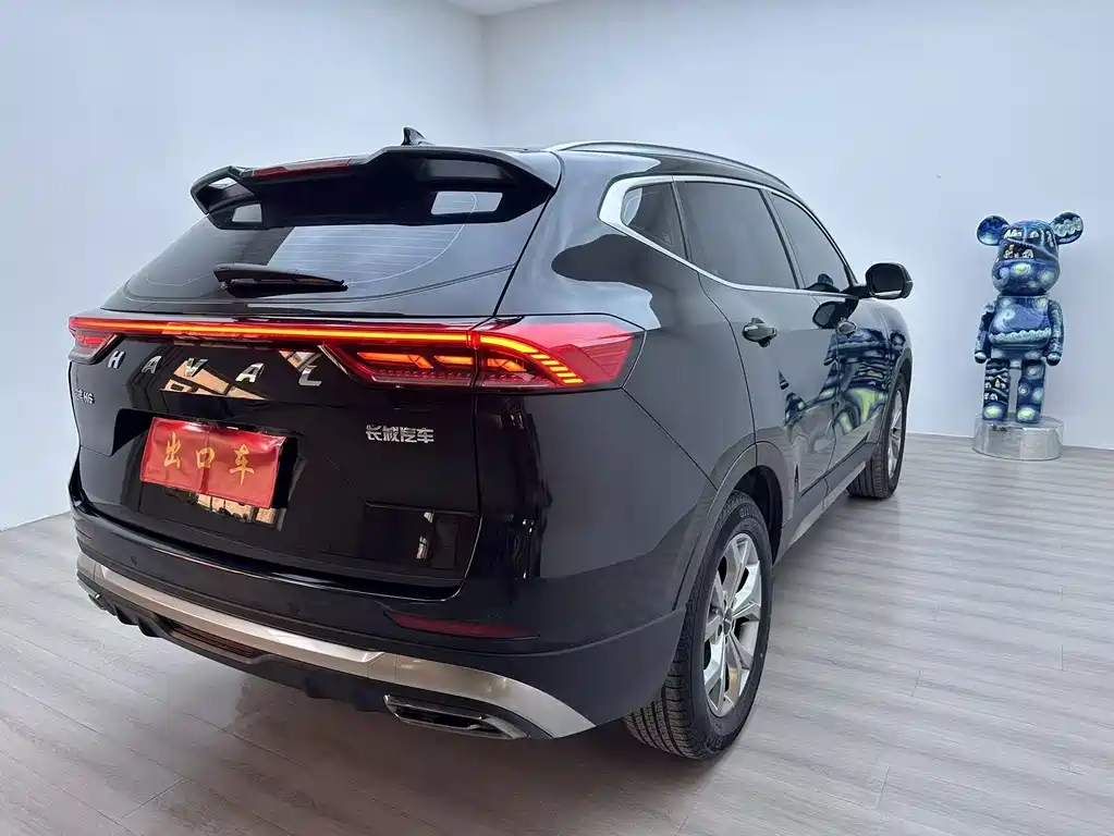 Haval H6 2022 — фото 11