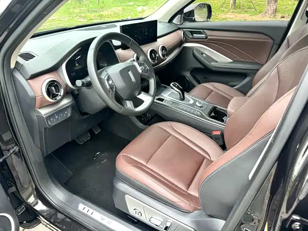 Wey VV6 2020