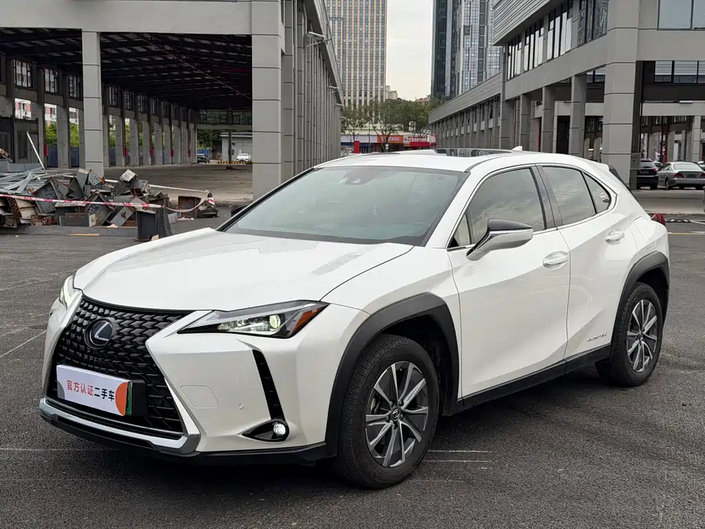 Lexus UX New Energy 2021 — фото 1