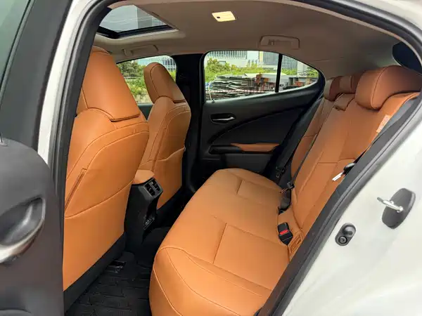 Lexus UX New Energy 2021
